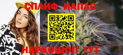 дурь Гай