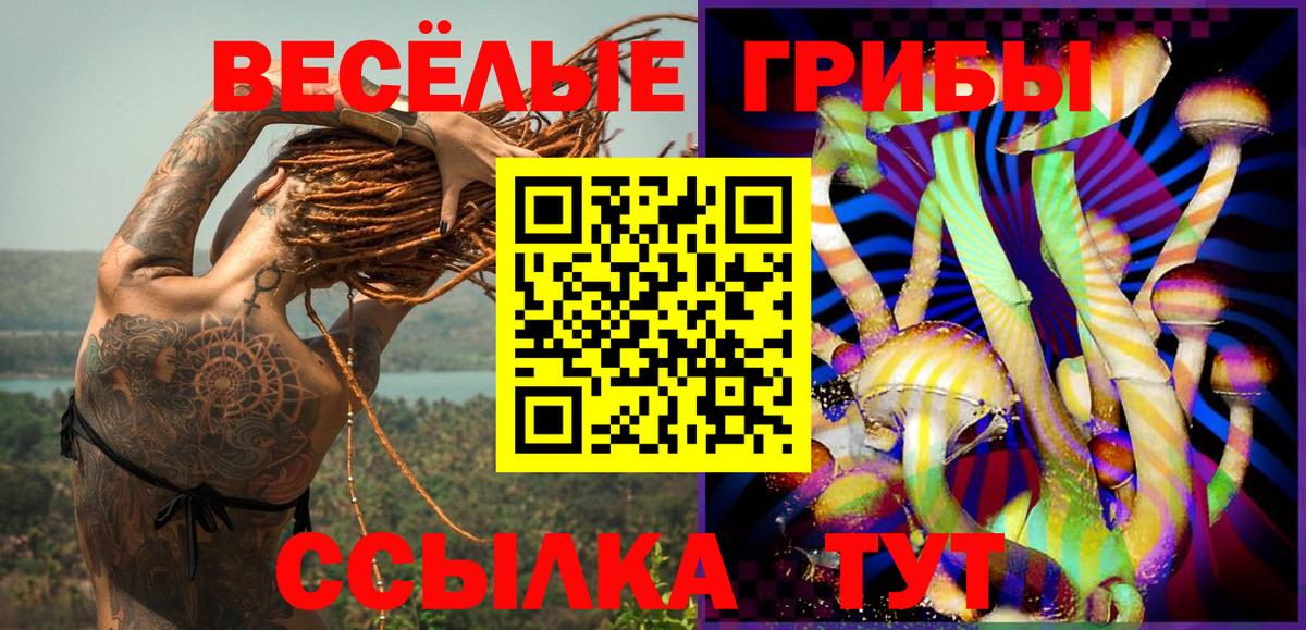 Галлюциногенные грибы мицелий Люберцы