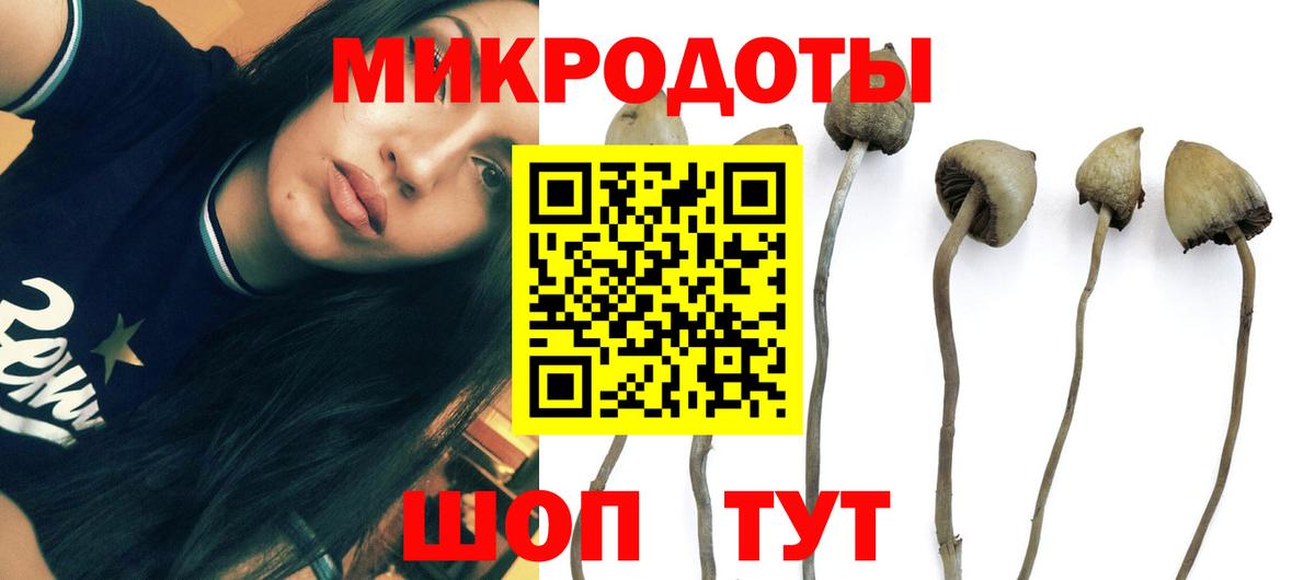 Галлюциногенные грибы Cubensis  Вход с VPN  Люберцы 